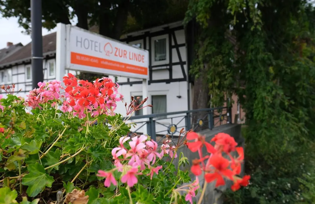 Hotel Zur Linde-1